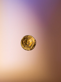 Gold Coin